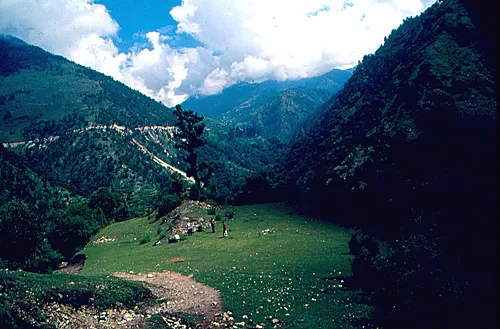 Photo of Lohajung, Chamoli, Uttarakhand, India by Sandeep Bisht
