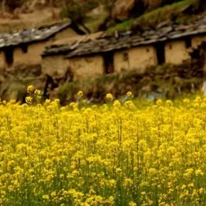 Photo of Urgam, Uttarakhand, India by Sandeep Bisht