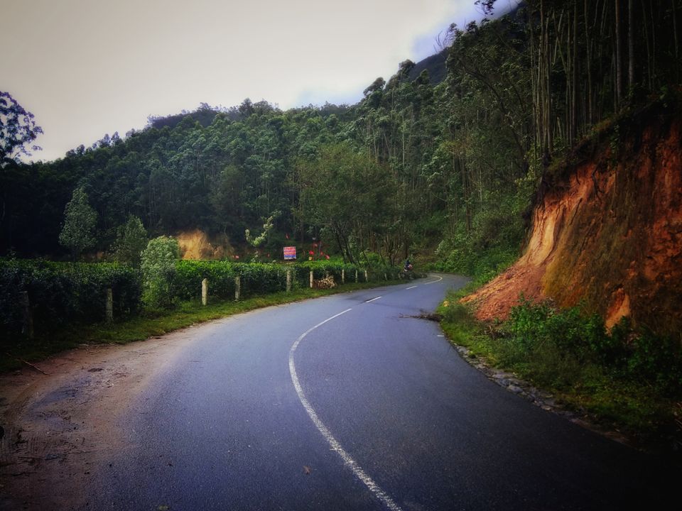 Photo of Munnar, the tea capital of Kerala. by Nikhil abhishek
