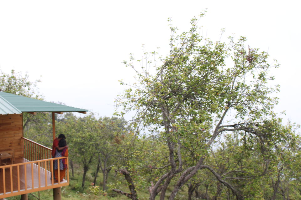 Sojourn to Wood Houses, Vattakanal Tripoto