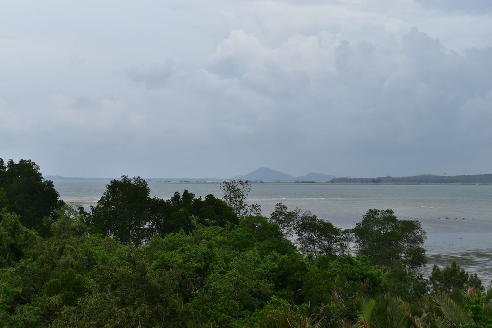 Photo of Chek Jawa Wetlands Singapore by Kalika Bhatnagar
