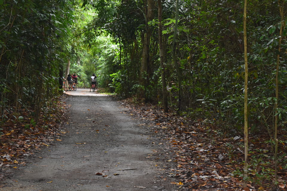 Photo of Pulau Ubin (Jetty Entrance) Singapore by Kalika Bhatnagar