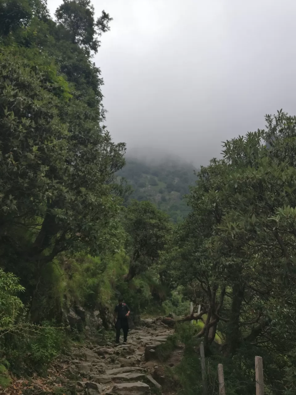 Photo of Dharamkot, Dharamshala, Himachal Pradesh, India by Radhika Arora
