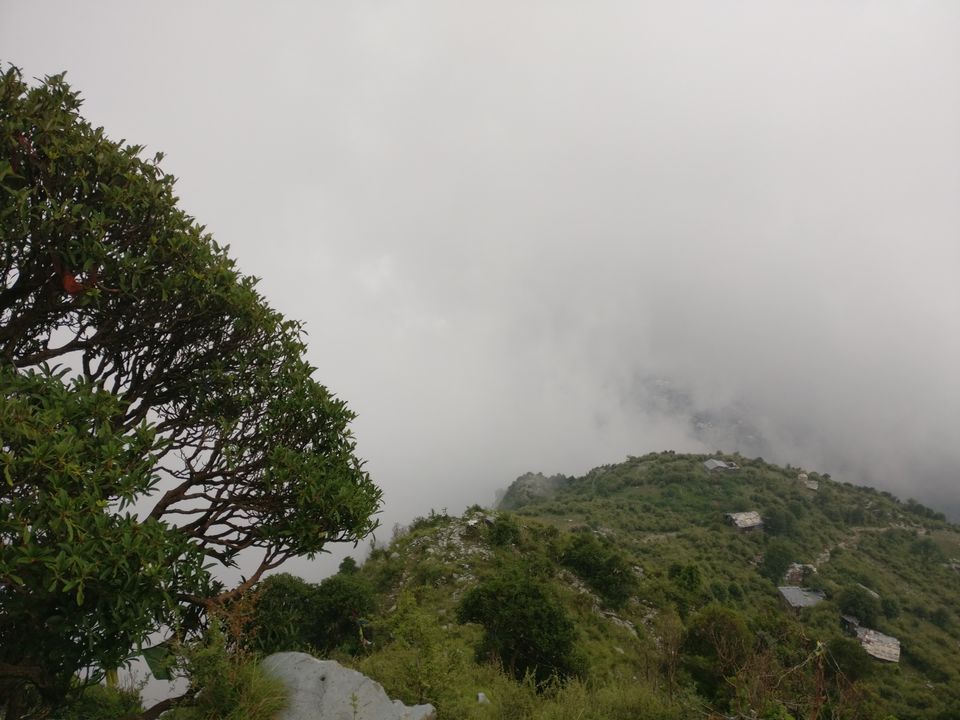 Photo of Triund, Kangra, Himachal Pradesh, India by Radhika Arora