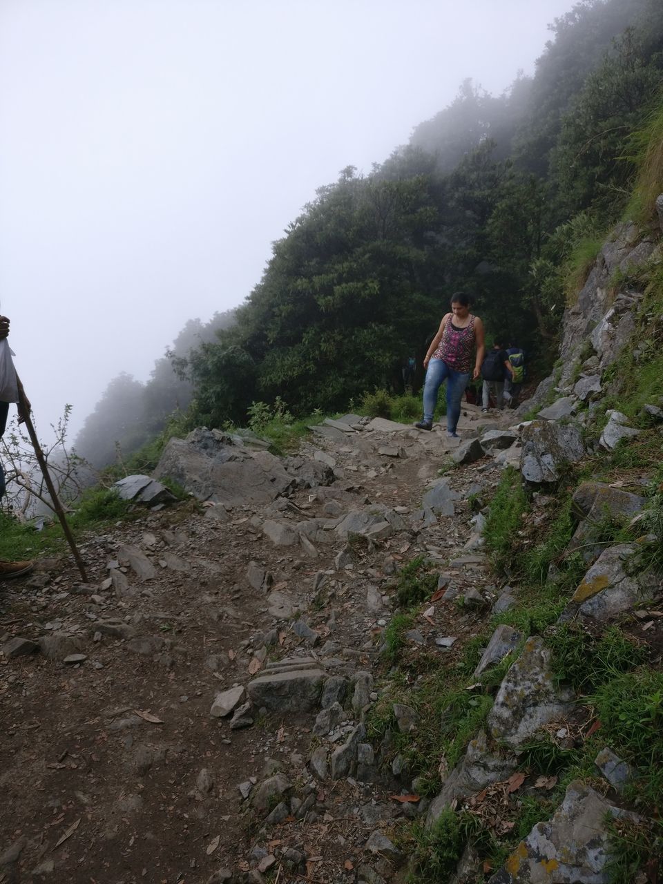 Photo of Dharamkot, Dharamshala, Himachal Pradesh, India by Radhika Arora