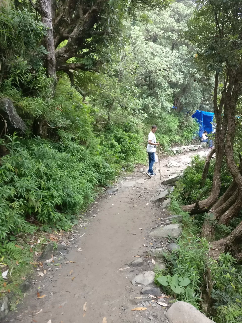 Photo of Dharamkot, Dharamshala, Himachal Pradesh, India by Radhika Arora