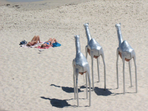 Photo of Sculpture by the sea- Cottesloe Beach by Kelli Mutchler