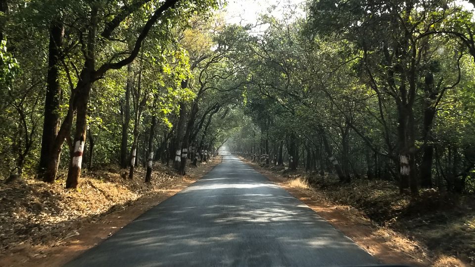 Photo of Betalbatim, Goa, India by Rhythm Patel