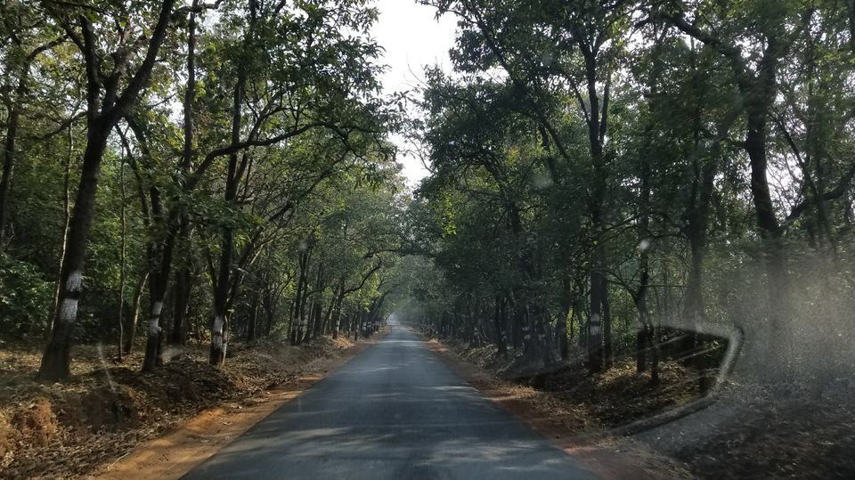 Photo of Betalbatim, Goa, India by Rhythm Patel