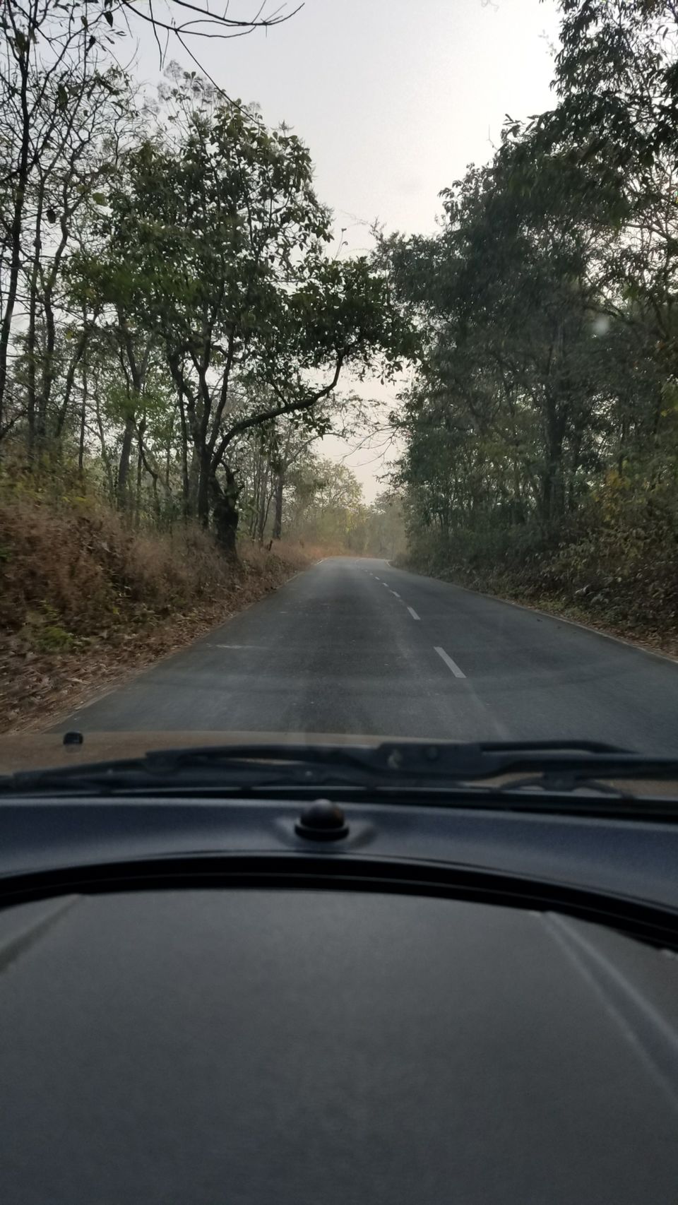 Photo of Betalbatim, Goa, India by Rhythm Patel