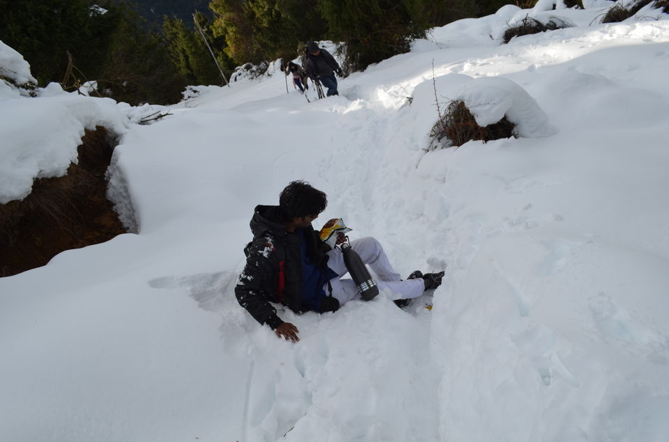 Photo of Winter Trek to Frozen Prashar Lake 10/50 by Himalayan Drifters