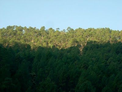 Photo of Kausani, Uttarakhand, India by Parnashree Devi