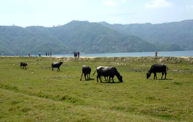 Photo of Pokhara Valley, Pokhara, Western Region, Nepal by UB Hawthorn