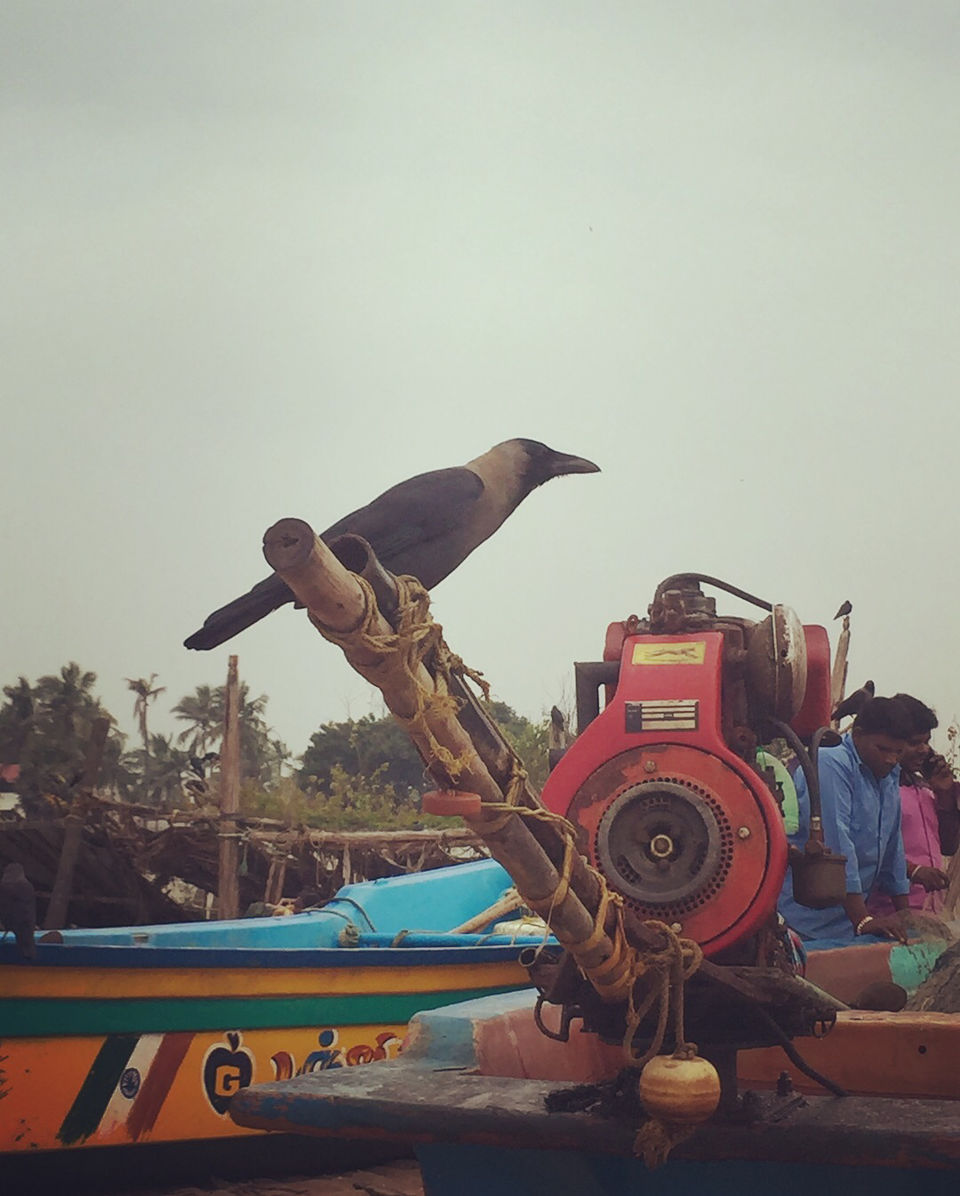 Photo of Auroville Beach, Tamil Nadu by Jatin Gangwani