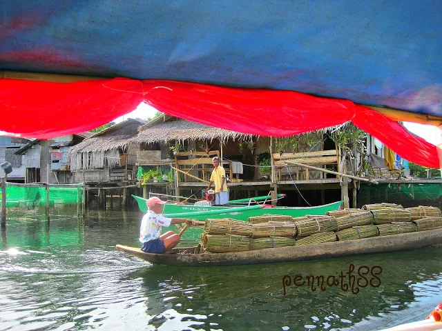 Photo of Surigao del Sur, Caraga, Philippines by My Wandering Soles