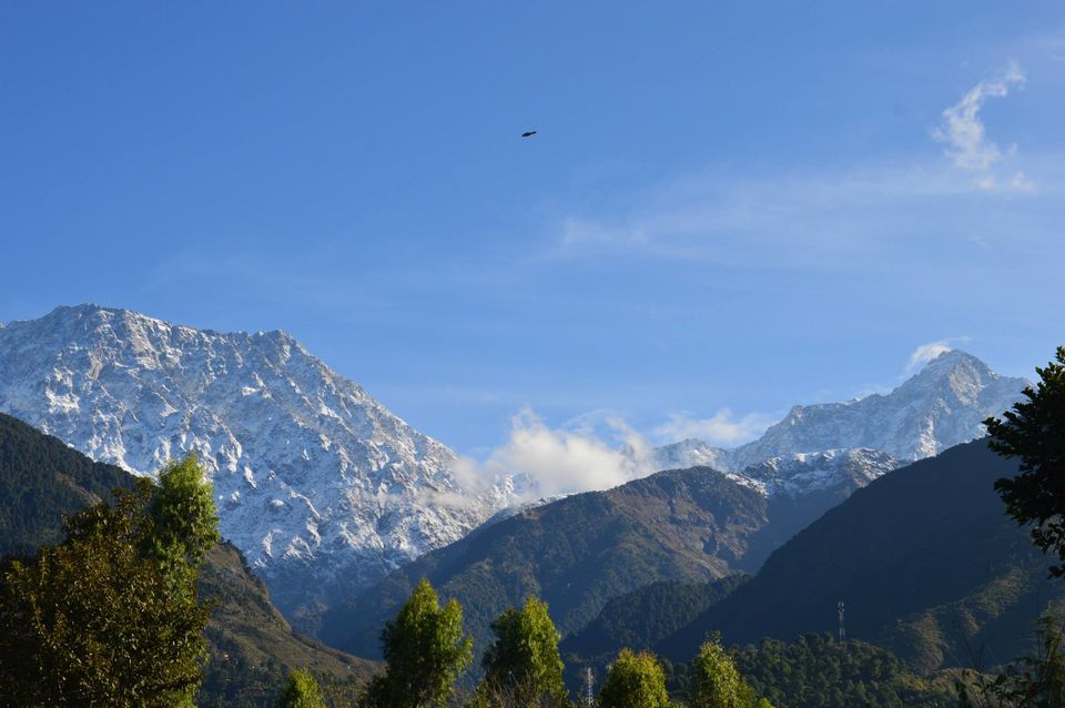 Photo of Ghoomakad - A home in the mountains 3/8 by Mayur Sontakke