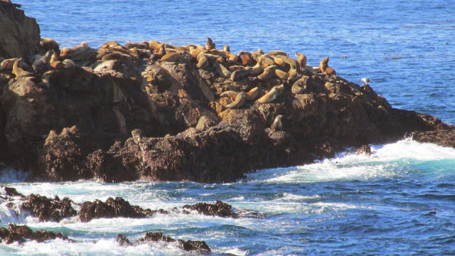 Photo of Big Sur, CA, United States by Marta Chan