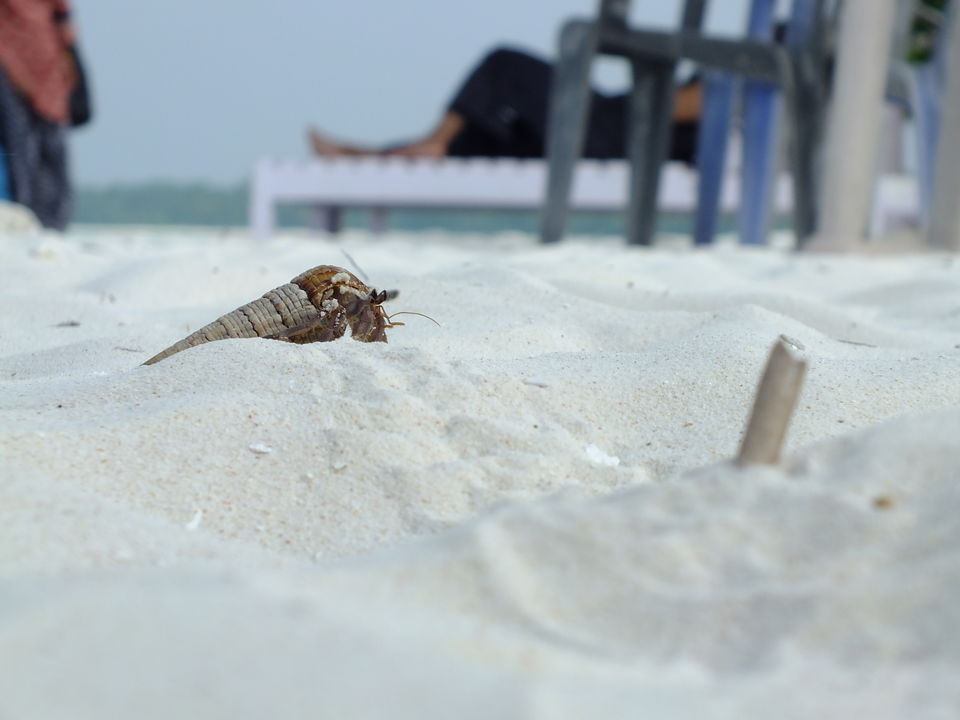 Photo of Lakshadweep – The Place of Dreams 8/17 by Souparna