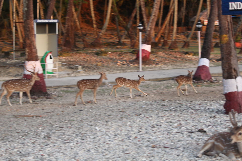 Photo of Arey Waah Andamans....... by KAPIL KUMAR