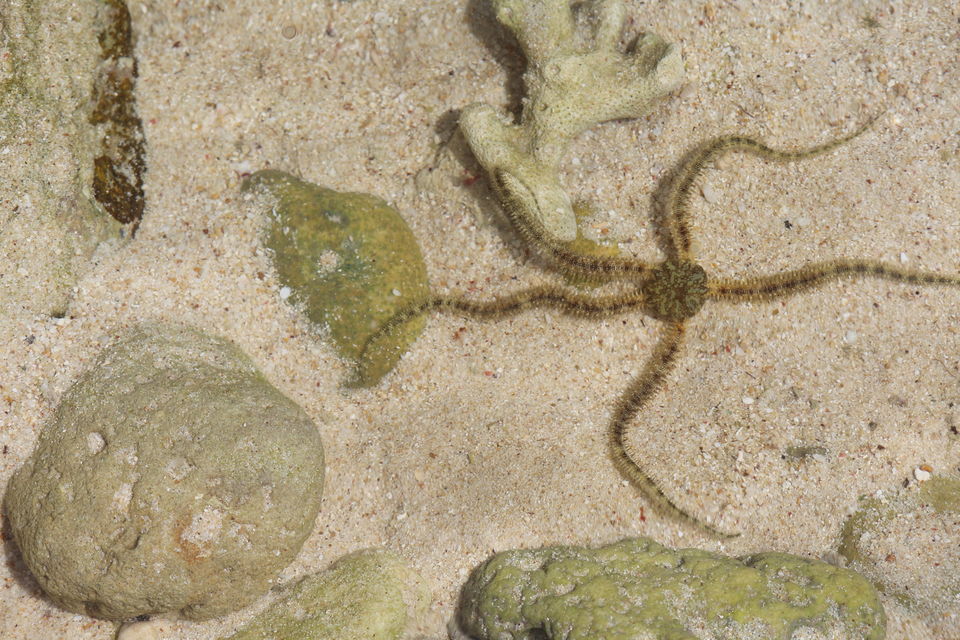 Photo of Arey Waah Andamans....... by KAPIL KUMAR