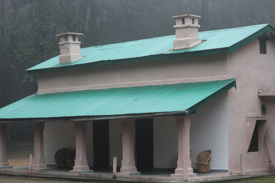 Photo of Jim Corbett: Nature's Treat by KAPIL KUMAR