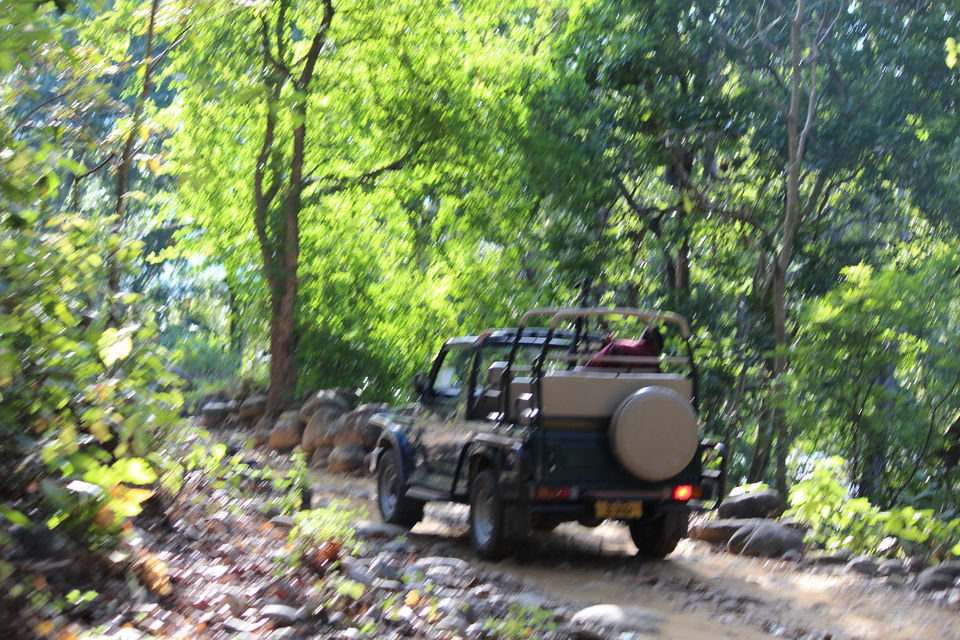 Photo of Jim Corbett: Nature's Treat by KAPIL KUMAR