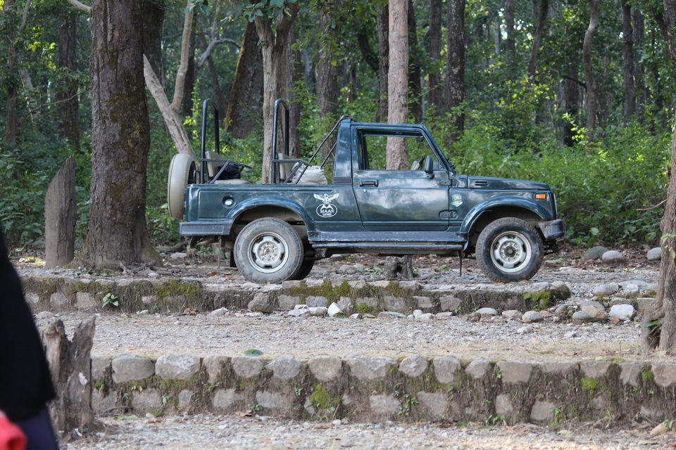 Photo of Jim Corbett: Nature's Treat by KAPIL KUMAR