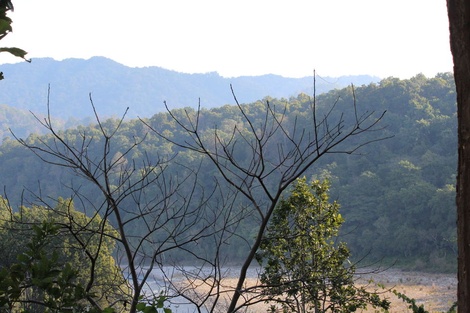 Photo of Jim Corbett: Nature's Treat by KAPIL KUMAR
