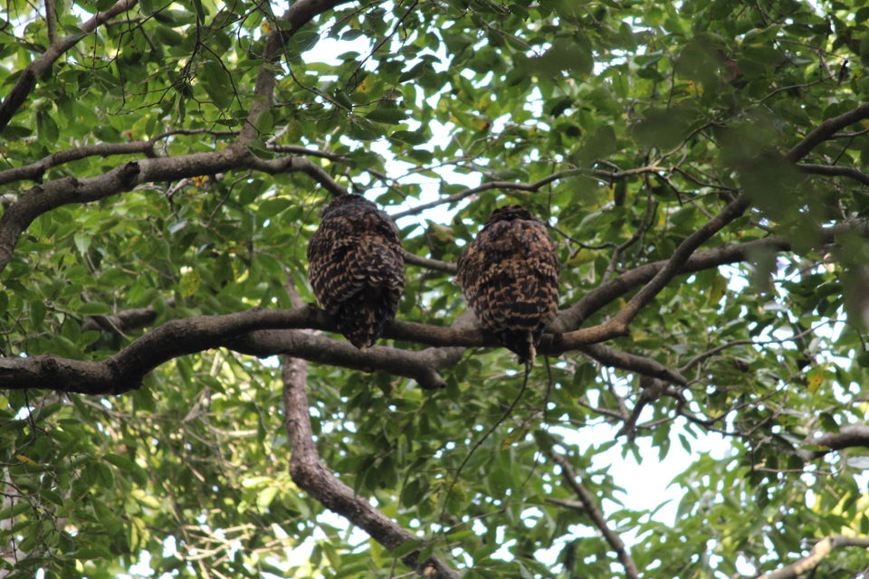 Photo of Jim Corbett: Nature's Treat by KAPIL KUMAR