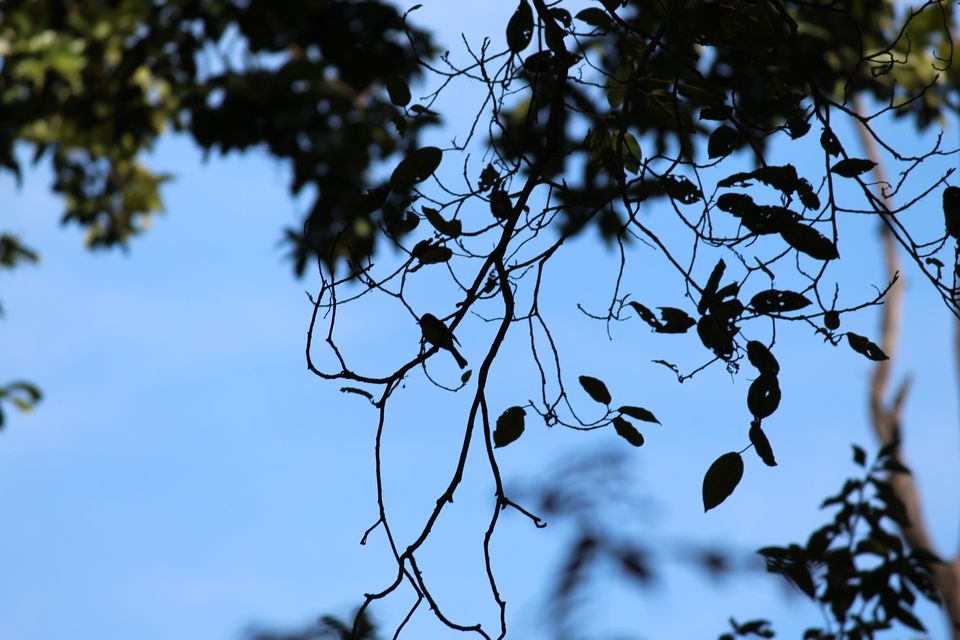 Photo of Jim Corbett: Nature's Treat by KAPIL KUMAR
