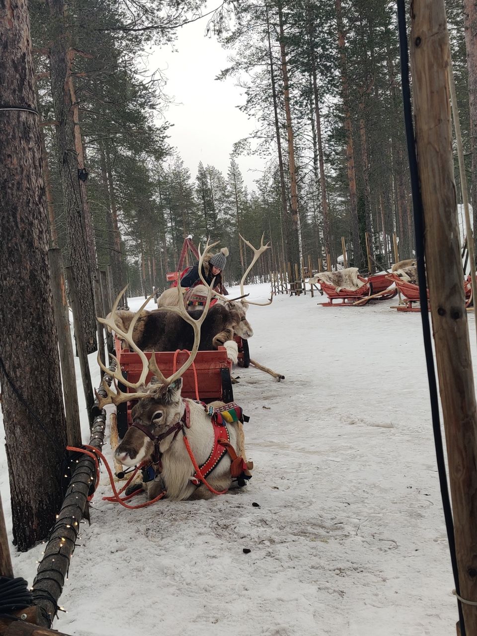 Photo of Santa Claus Village by Himanshu Rathore