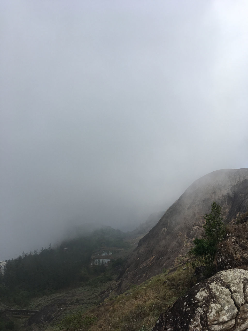 Photo of Vagamon, Kerala, India by Anil John