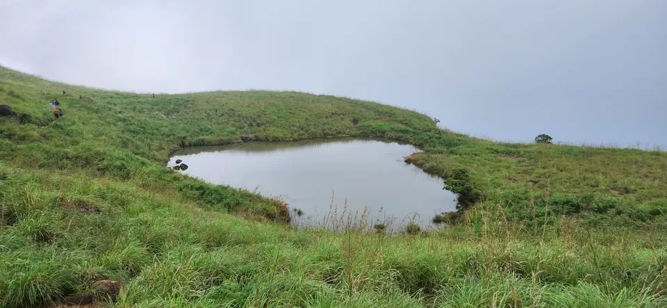 Photo of Wayanad by rashmi u