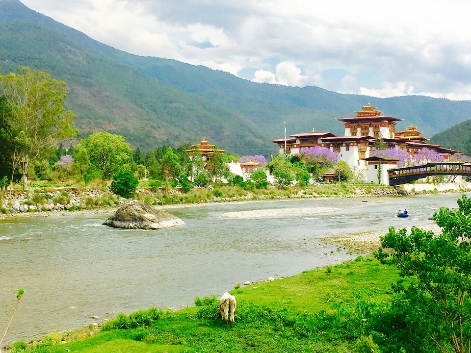 Photo of Punakha Dzong, Punakha, Bhutan by Rittika