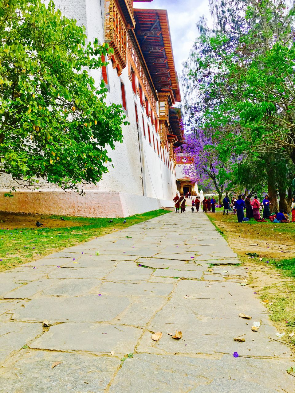 Photo of Punakha Dzong, Punakha, Bhutan by Rittika
