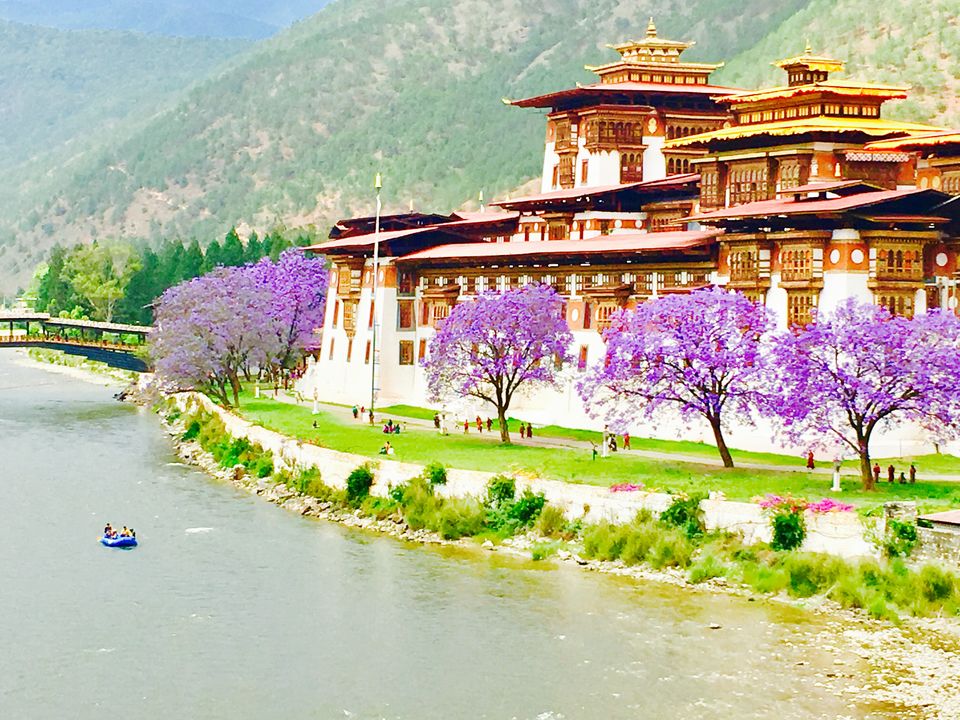 Photo of Punakha Dzong, Punakha, Bhutan by Rittika
