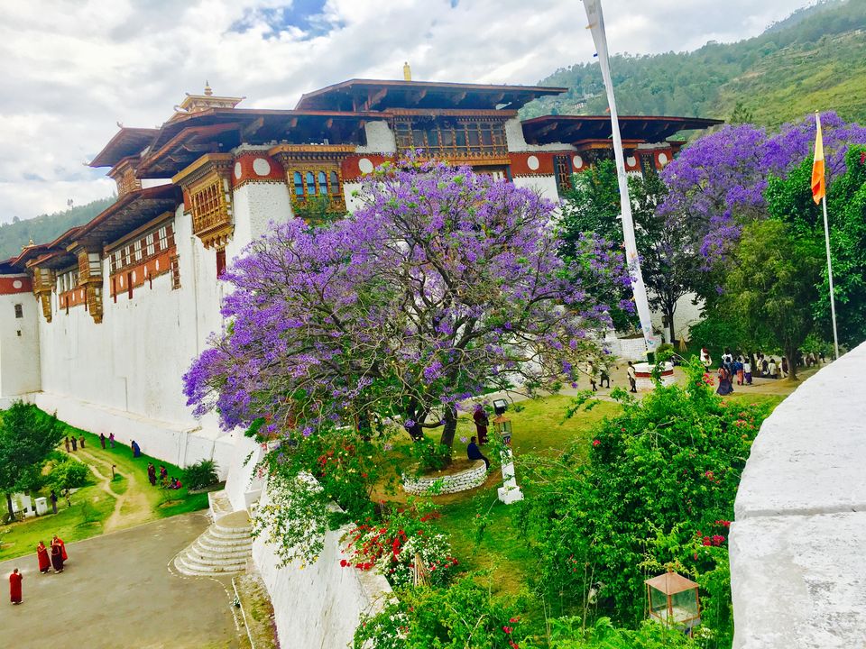 Photo of Punakha Dzong, Punakha, Bhutan by Rittika