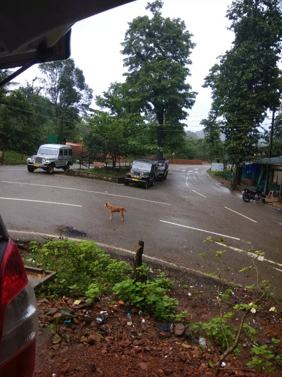 Photo of Kodachadri, Valur, Karnataka by Basavaraj Arali