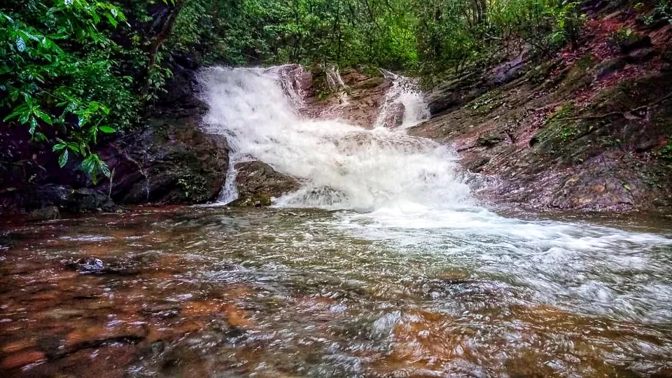 Photo of Kodachadri, Valur, Karnataka by Basavaraj Arali