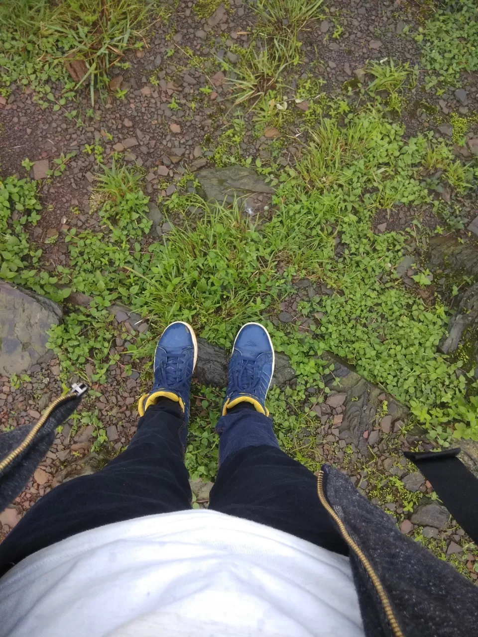 Photo of Kodachadri, Valur, Karnataka by Basavaraj Arali