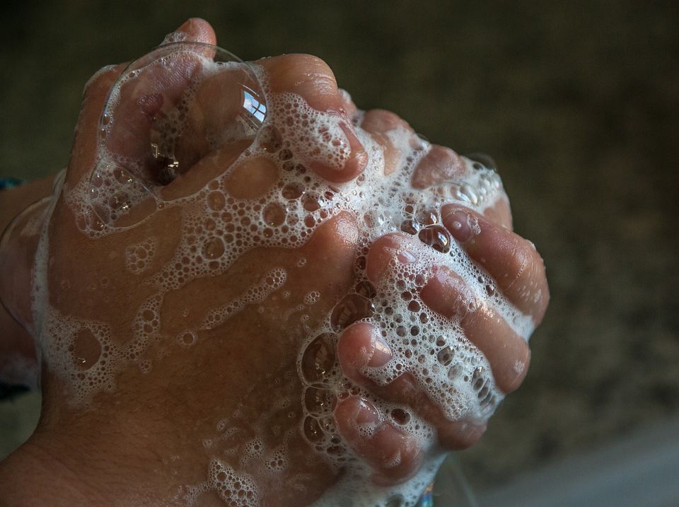 Photo of How, why and when you should wash your hands 1/1 by Nicola Mills