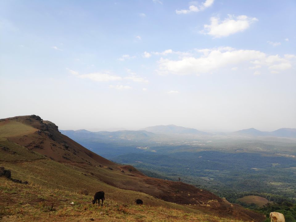 chikmagalur trip plan from bangalore