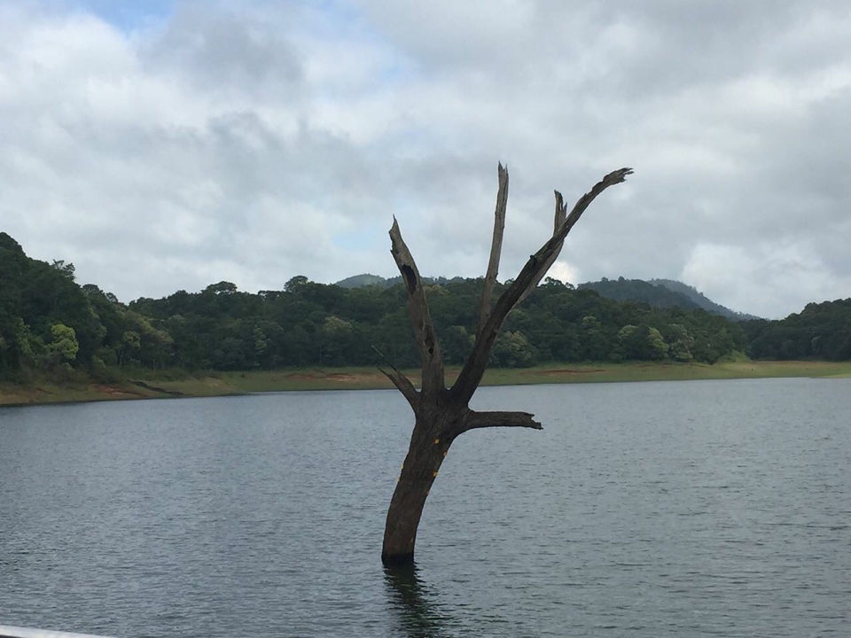 Photo of Thekkady, Thekkady, Kumily, Kerala, India by Disha Dhingra