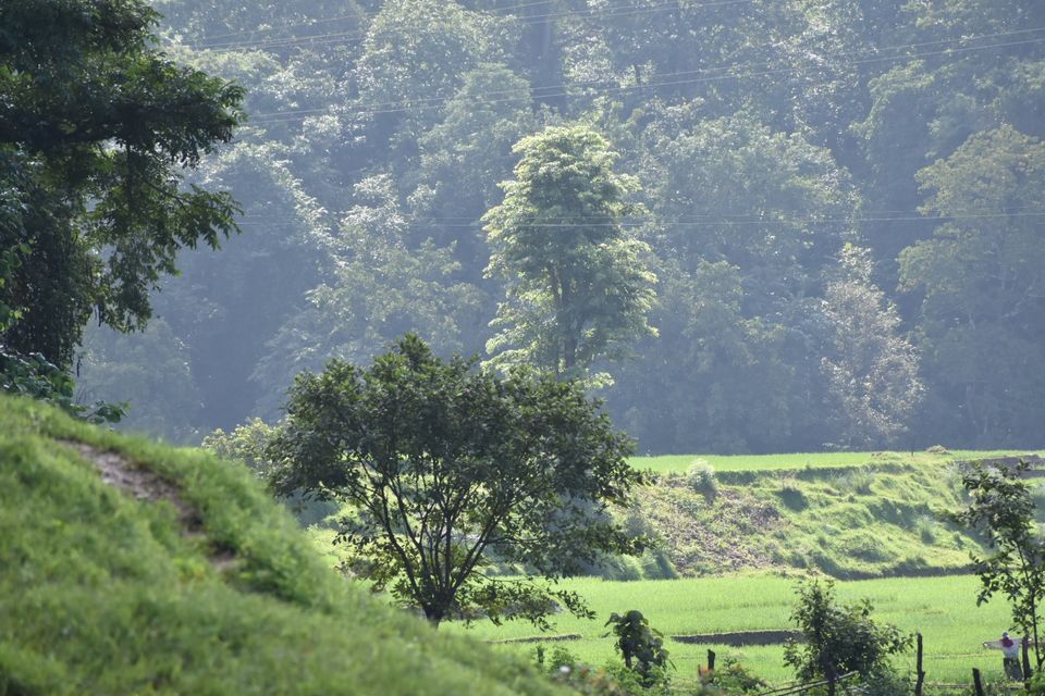 Photo of Castle Rock, Karnataka, India by Chetan Ph (siddharth)