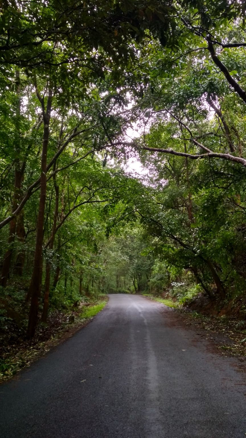 Photo of State Highway 34, Uttara Kannada, India by Chetan Ph (siddharth)