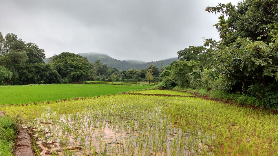 Photo of Amboli, Maharashtra, India by Chetan Ph (siddharth)