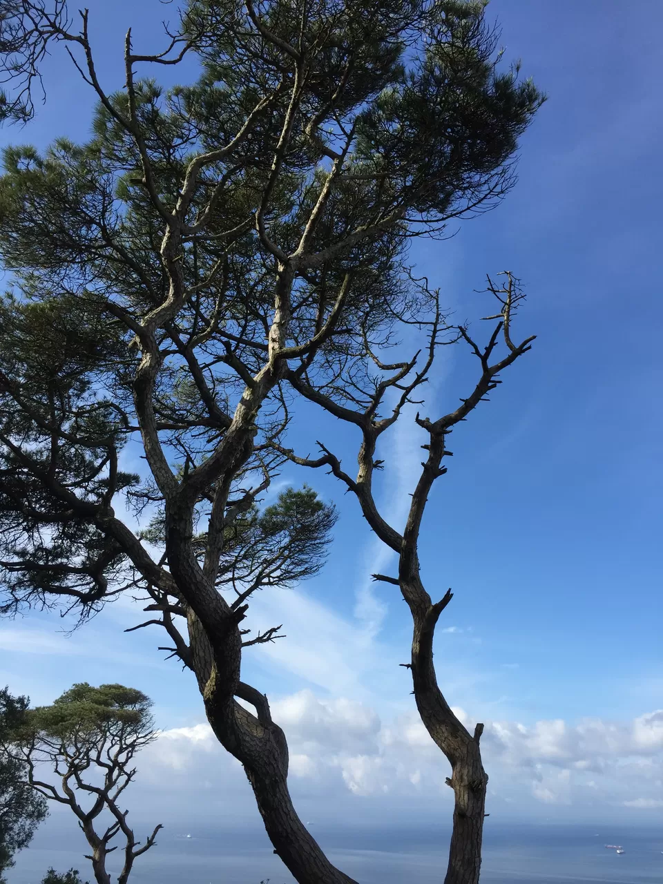 Photo of Gibraltar by abhinaya