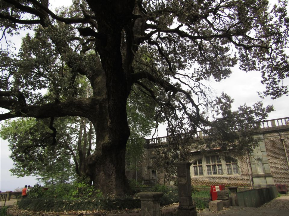Photo of Indian Institute of Advanced Studies by Wan-doc-rer