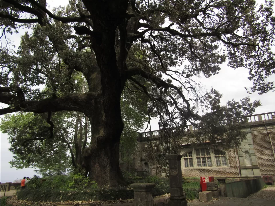 Photo of Indian Institute of Advanced Studies by Wan-doc-rer