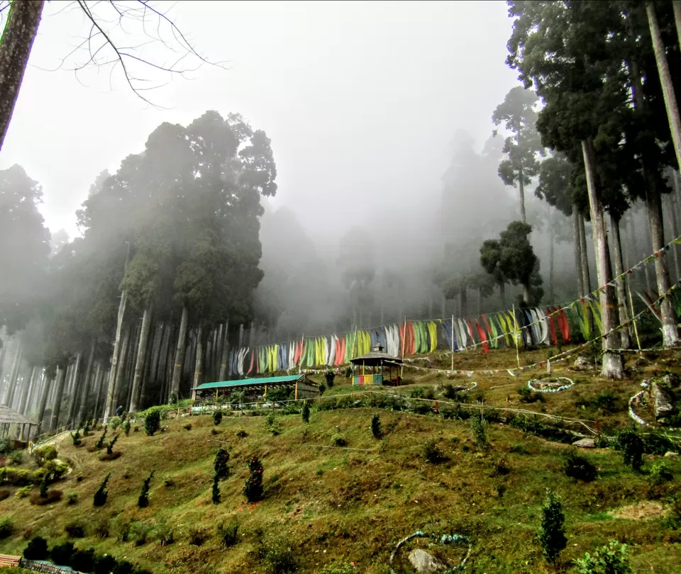Photo of Lamahatta Eco Park by Wan-doc-rer